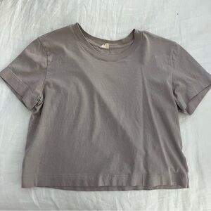 Aritzia Gray Boxy Crop Tee Short Sleeve
